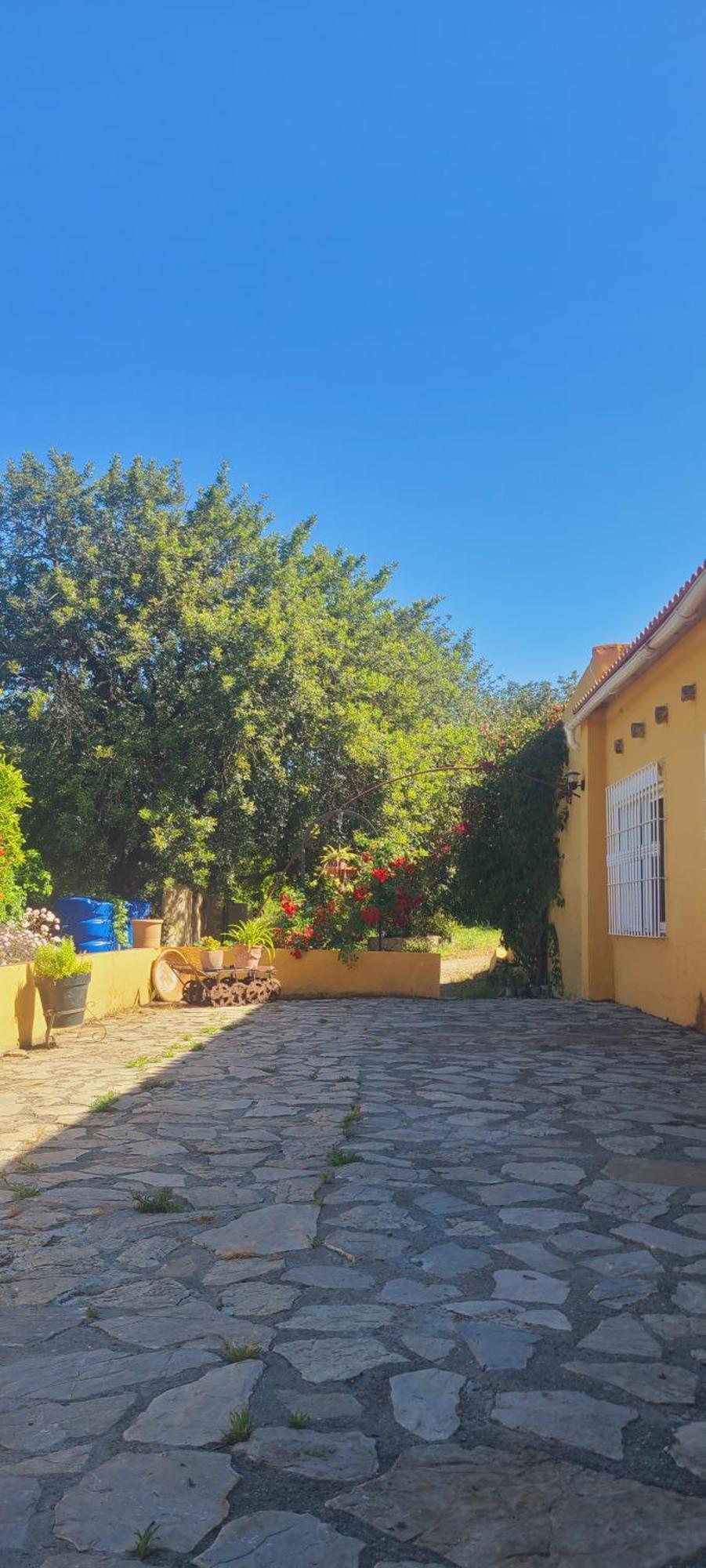La Alqueria Villa San Martín Eksteriør billede